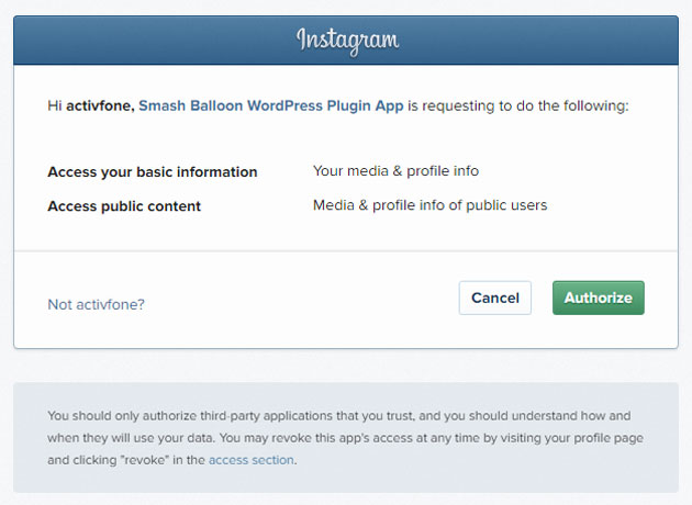 Instagram Feed Authorize Access